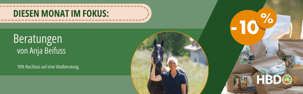 Werbebanner mit 10% Rabatt auf Beratungen von Anja Beifuss für diesen Monat, abgebildet mit Anja Beifuss und einem Pferd im Hintergrund, umgeben von Natur.