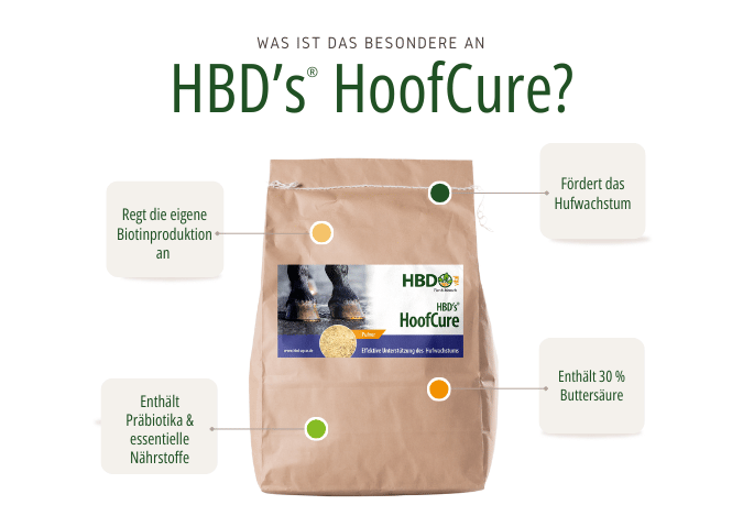 Produktbild von HBD's HoofCure, einem Pulver zur Förderung des Hufwachstums. Das Produkt regt die eigene Biotinproduktion an, enthält Präbiotika und essentielle Nährstoffe, fördert das Hufwachstum und enthält 30 % Buttersäure.