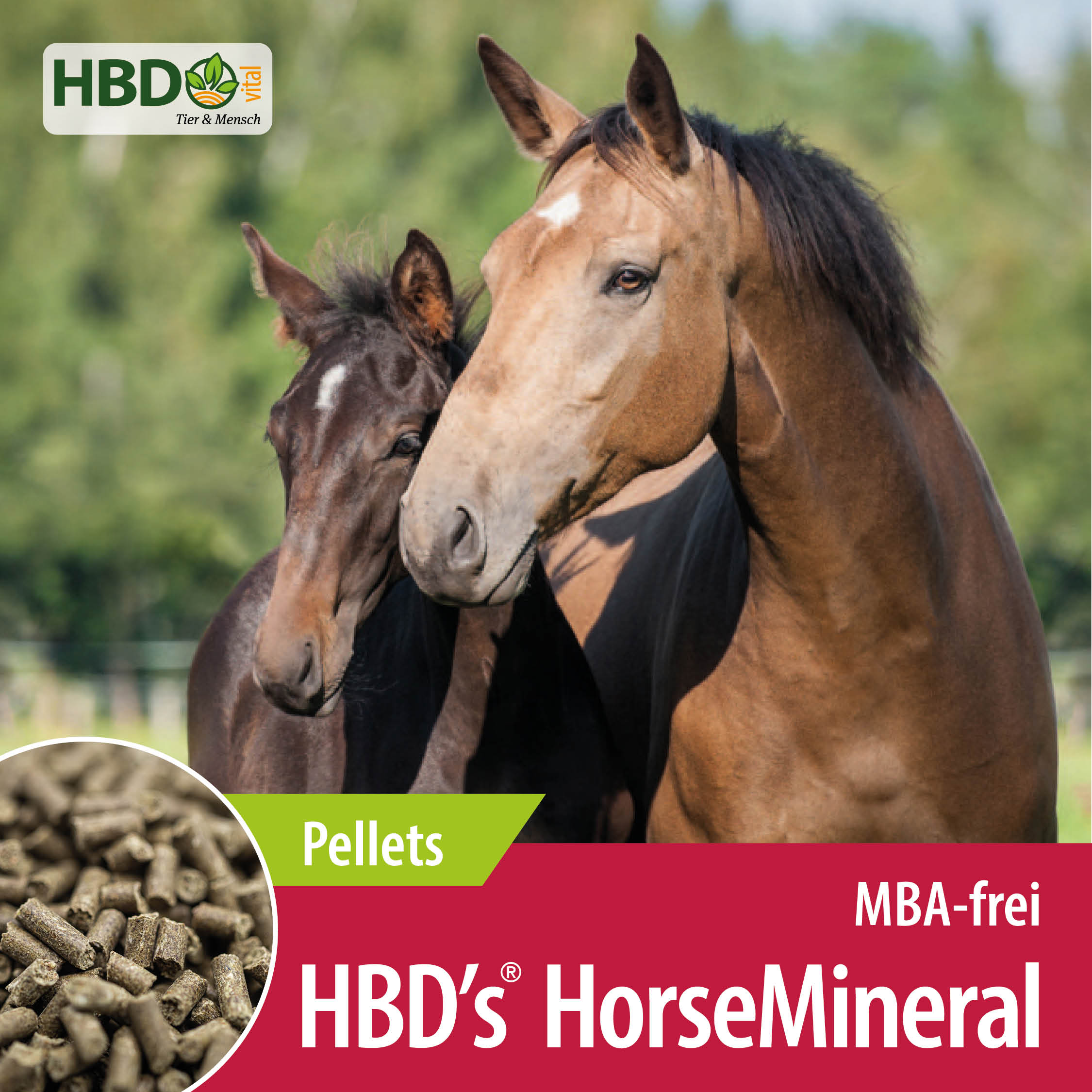 Shopbild für HBD’s HorseMineral MBA-frei Pellets - Das Bild zeigt den Produktnamen sowie den Hinweis, dass es sich um Melasse-, Bierhefe- und Apfeltrester-freie Pellets handelt. Zwei Pferde sind zu sehen, eines hellbrau
