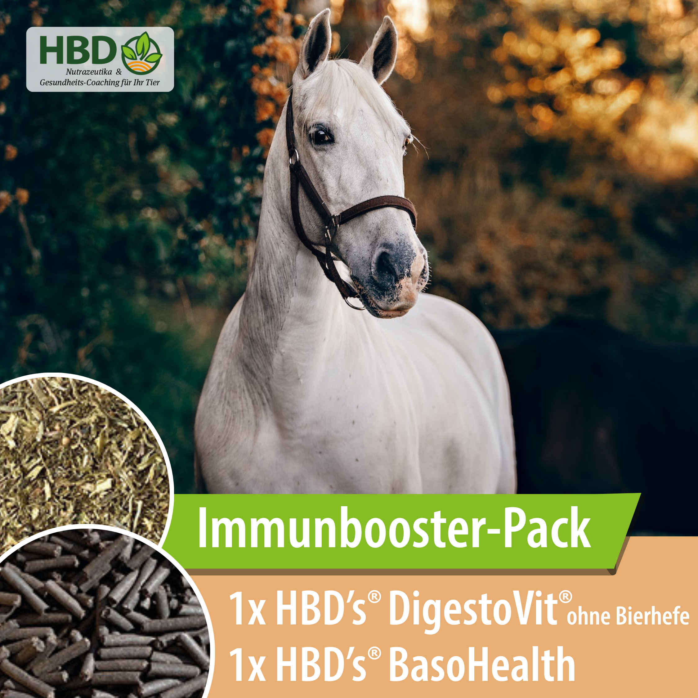 Angebot im September: HBD's®  Immunbooster-Pack ohne Bierhefe