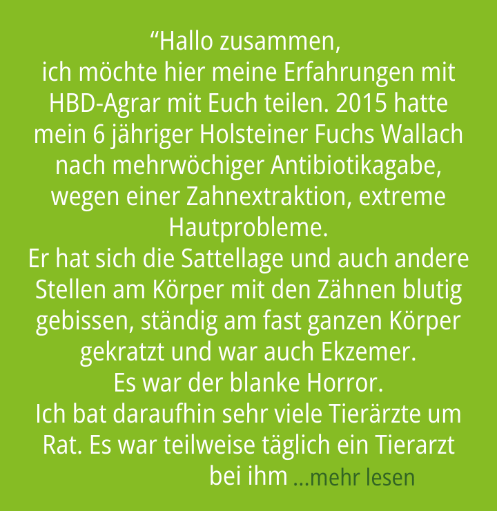 Teaser des Erfahrungsbericht über die Hautprobleme ihres Holsteiner Fuchswallachs nach Antibiotikabehandlung.