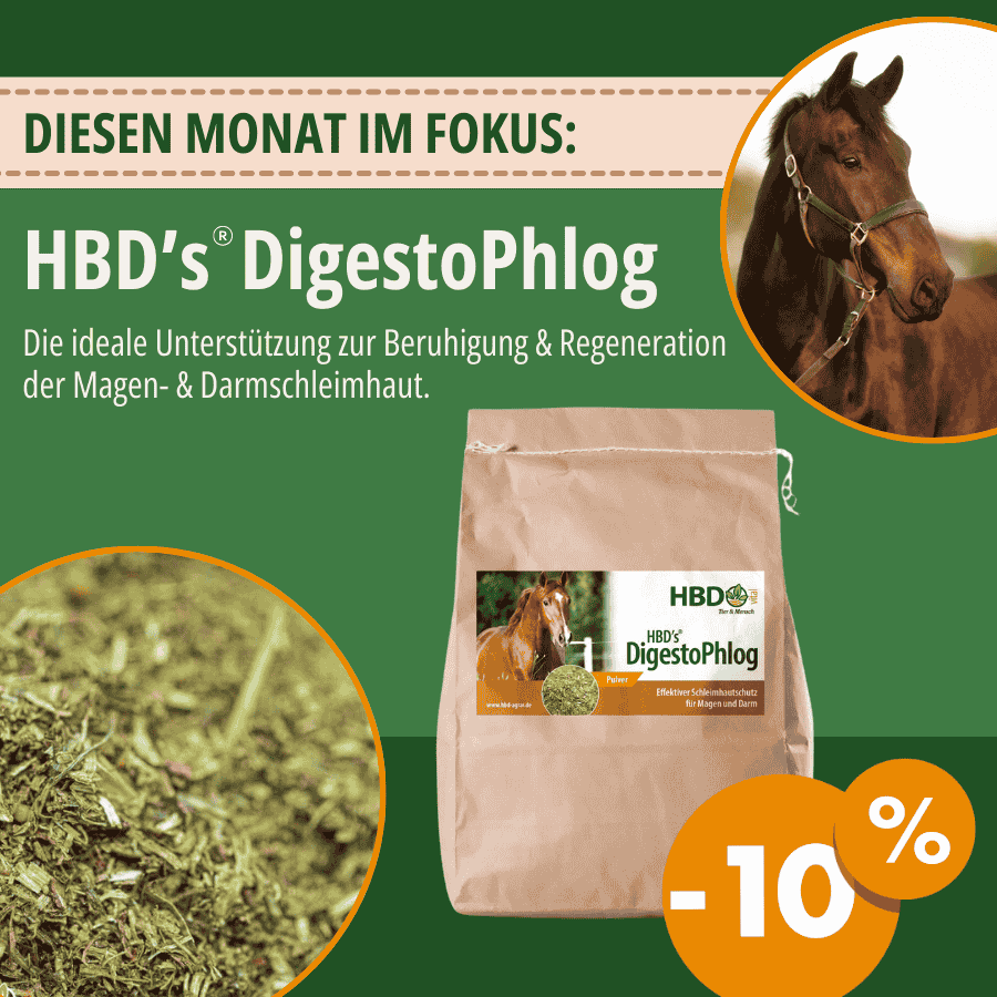 Werbung für HBD’s DigestoPhlog Pferdefutter. Die ideale Unterstützung zur Beruhigung und Regeneration der Magen- und Darmschleimhaut für Pferde. 10 % Rabatt auf das Produkt im Oktober. Abbildung eines Pferdes und eines Futtersacks und der Futterstruktur.