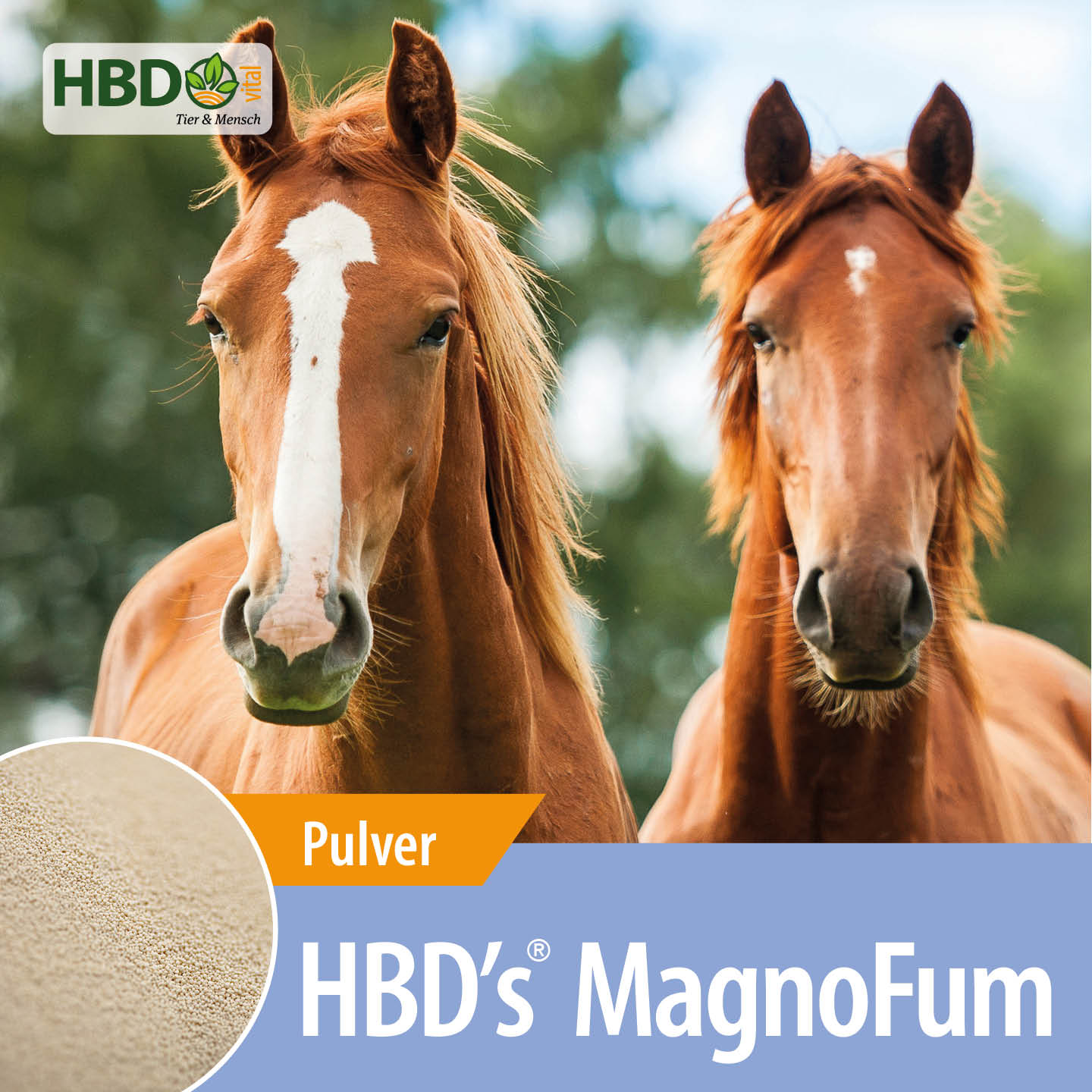 Shopbild für HBD’s MagnoFum dem hochbioverfügbarem Magnesiumpräparat - Das Bild zeigt den Produktnamen sowie den Hinweis, dass es sich um ein Pulver handelt. Zwei braune Pferde sind zu sehen, was das Produkt visuell ansprechend präsentiert und seine Verwe