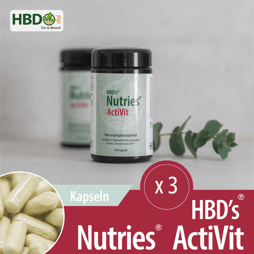 HBD’s® Nutries ActiVit Vorteilspack