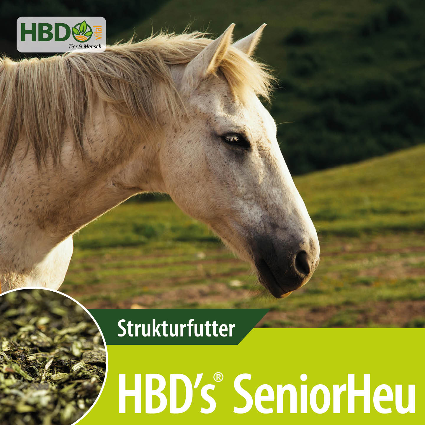 Shopbild für HBD’s SeniorHeu - Das Bild zeigt den Produktnamen sowie den Hinweis, dass es sich um ein Strukturfutter handelt. Ein weißes älteres Pferd ist zu sehen