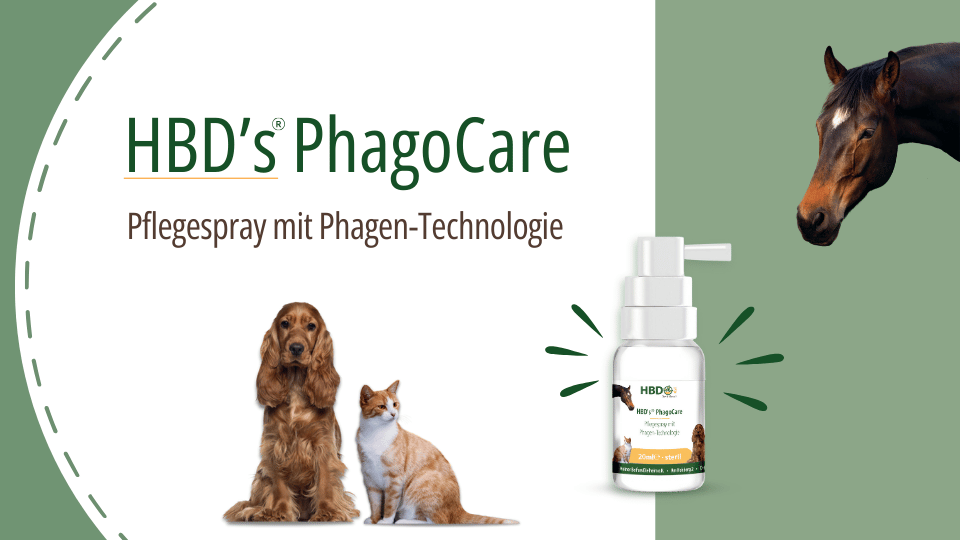 Werbebanner für HBD's PhagoCare Pflegespray mit Phagen-Technologie, 20 ml sterile Flasche, mit Abbildungen eines Pferdes, eines Hundes und einer Katze.