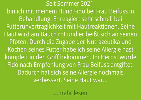 Teaser zum Erfahrungsbericht über die erfolgreiche Veränderung der Futterunverträglichkeit und Hautreaktionen von Hundes Fido durch Frau Beifuss.