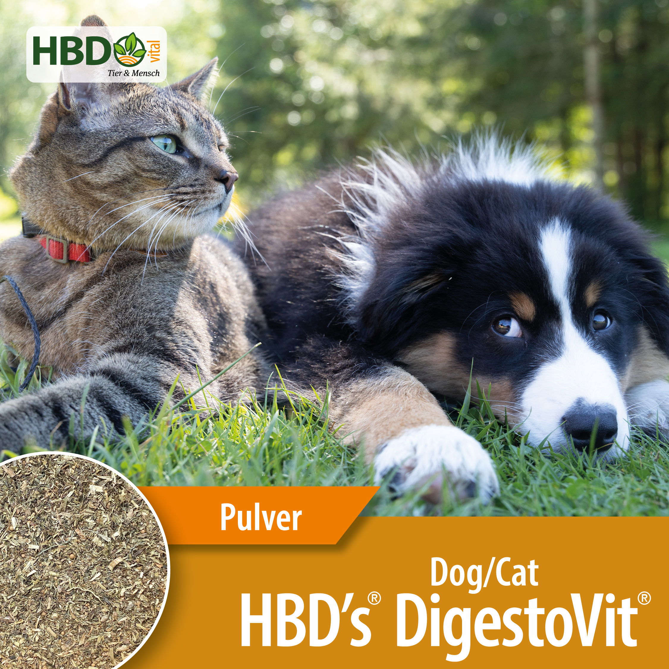 HBD’s® DigestoVit® Dog/Cat