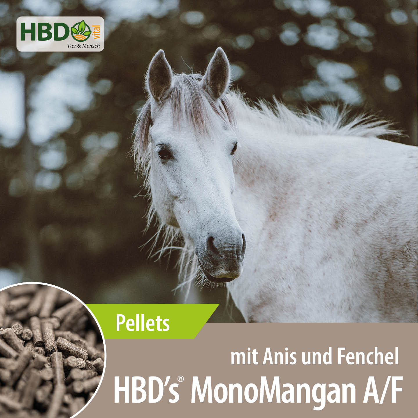 Shopbild für HBD’s MonoMangan A/F mit Anis und Fenchel - Das Bild zeigt den Produktnamen sowie den Hinweis, dass es sich um Pellets handelt. Ein weißes Pferd ist zu sehen.
