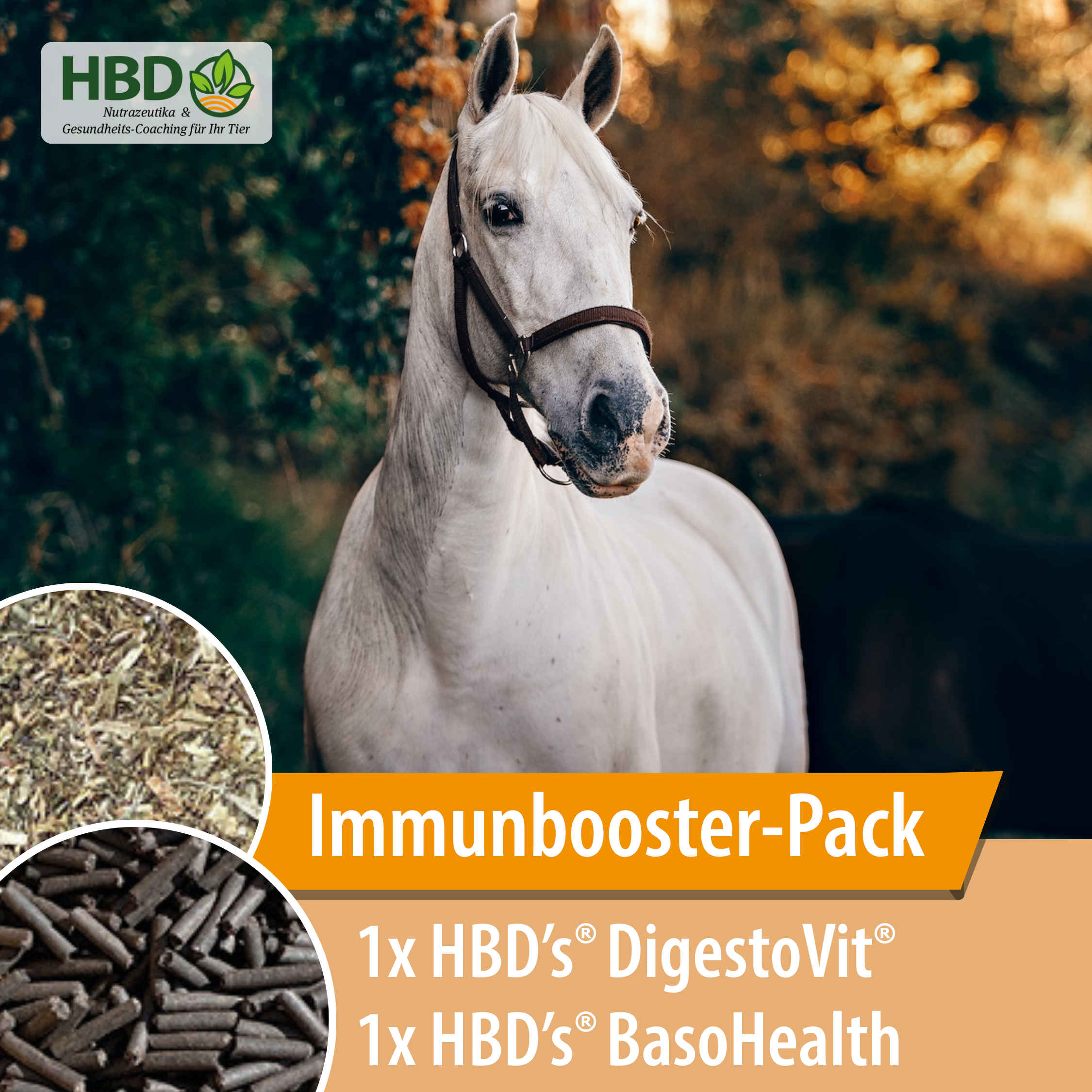 Angebot im September: HBD's® Immunbooster-Pack