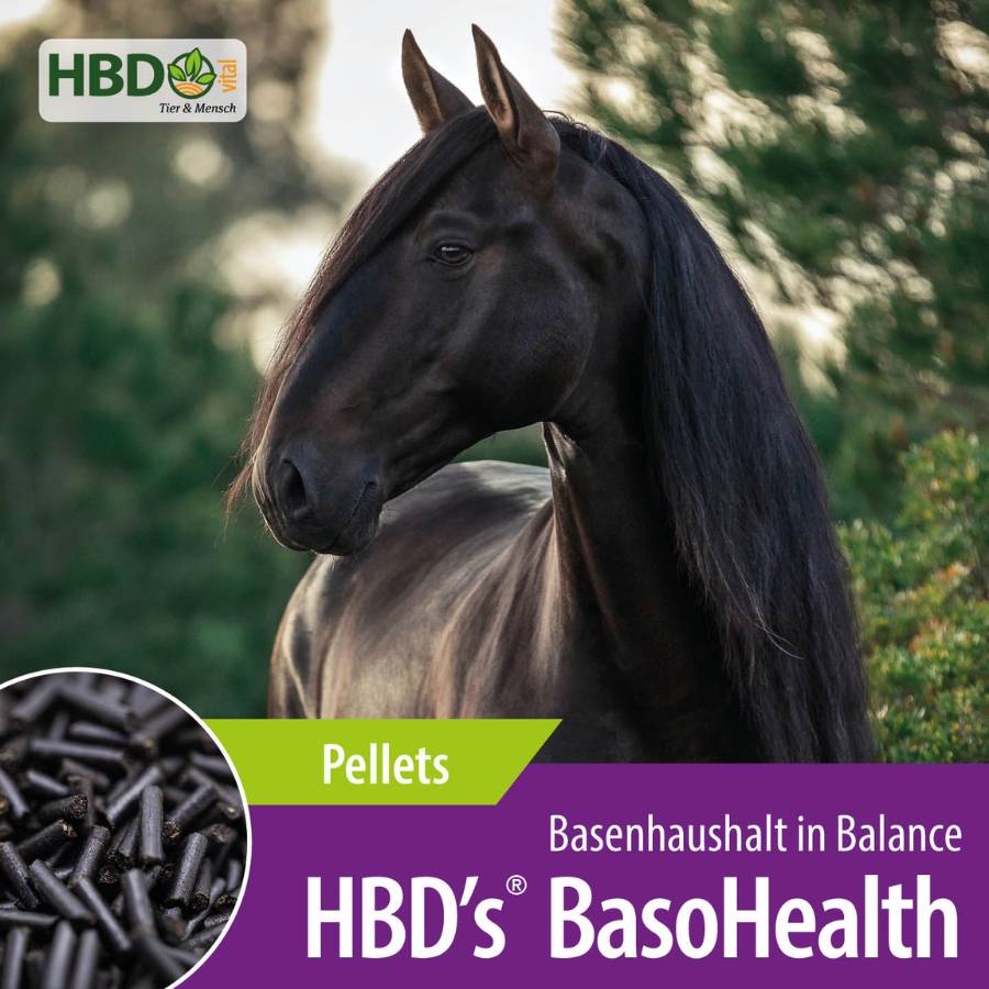Shopbild für HBD’s BasoHealth dem Stoffwechselregulat für Pferde:  Das Bild zeigt den Produktnamen, den Hinweis auf die Pelletform des Futters sowie den Satz 'Basenhaushalt in Balance'. Ein schwarzes Pferd ist ebenfalls zu sehen.