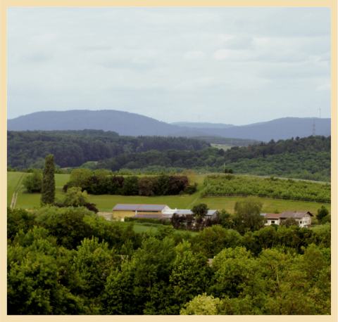 Aussicht von der Ferne auf den Hohberghof. Grüne Flächen, Bäume und Berge