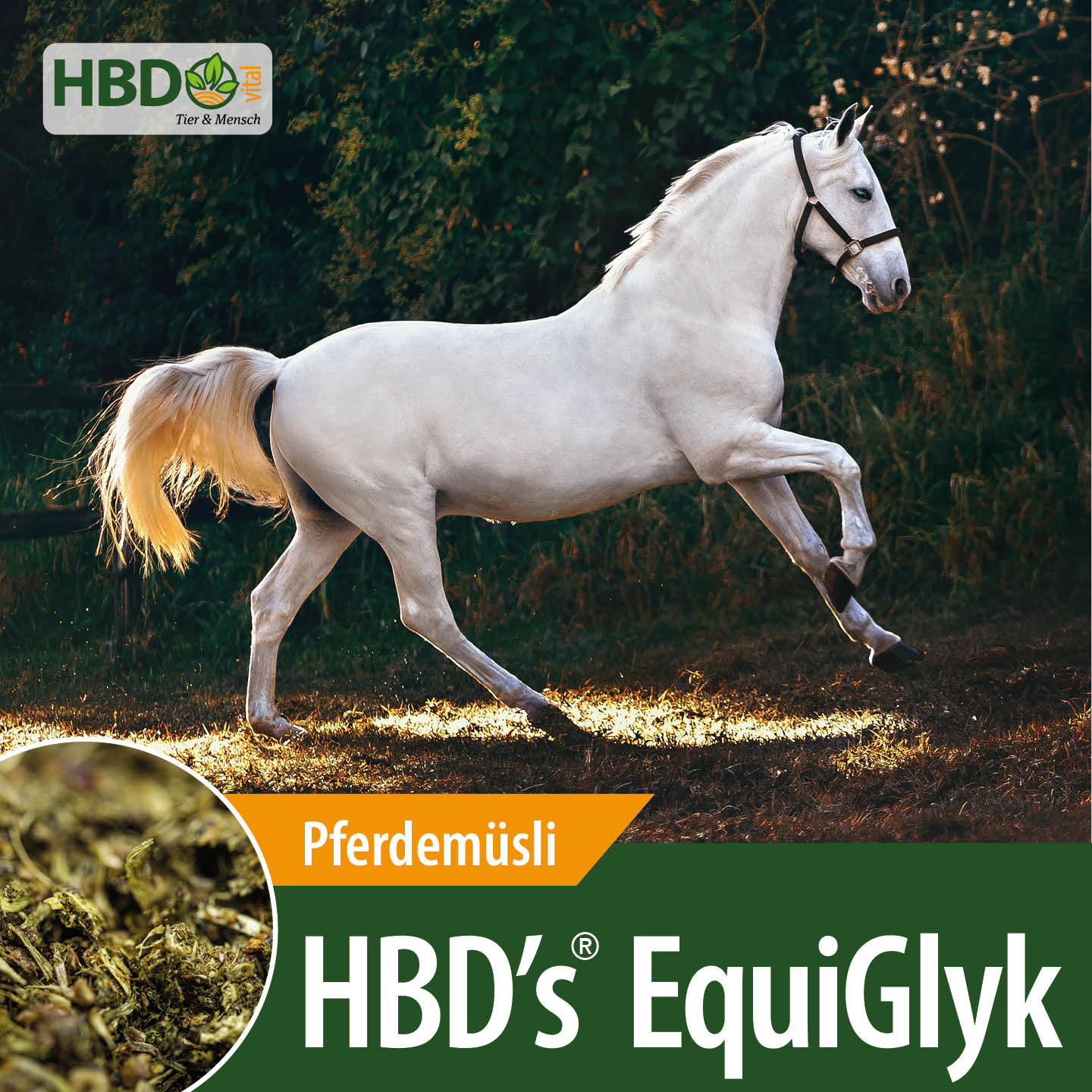 Shopbild für HBD’s EquiGlyk Pferdemüsli und Strukturfutter - Das Bild zeigt den Produktnamen sowie den Hinweis, dass es sich um ein Pferdemüsli handelt. Ein weißes Pferd ist zu sehen, das leicht steigt.