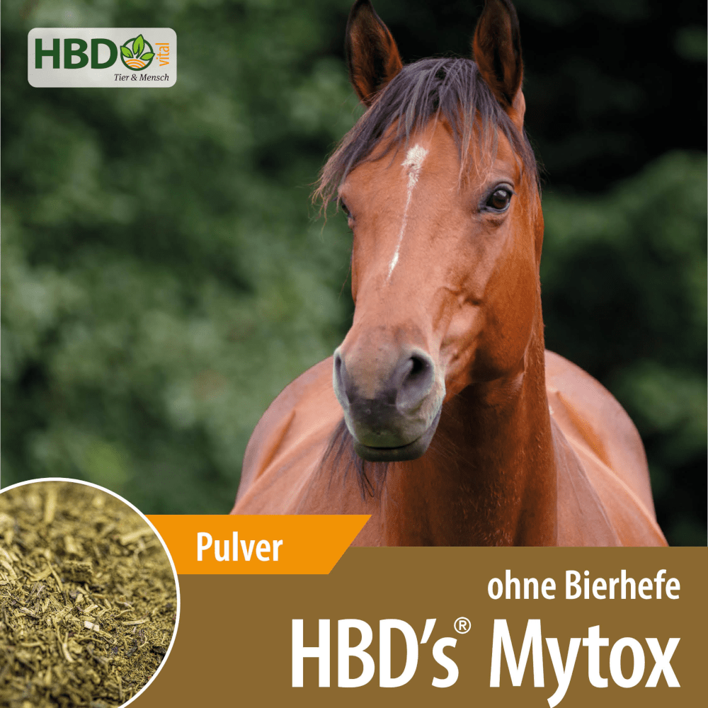 Shopbild für HBD’s Mytox ohne Bierhefe - Das Bild zeigt den Produktnamen sowie den Hinweis, dass es sich um ein Pulver handelt. Ein braunes Pferd ist zu sehen.