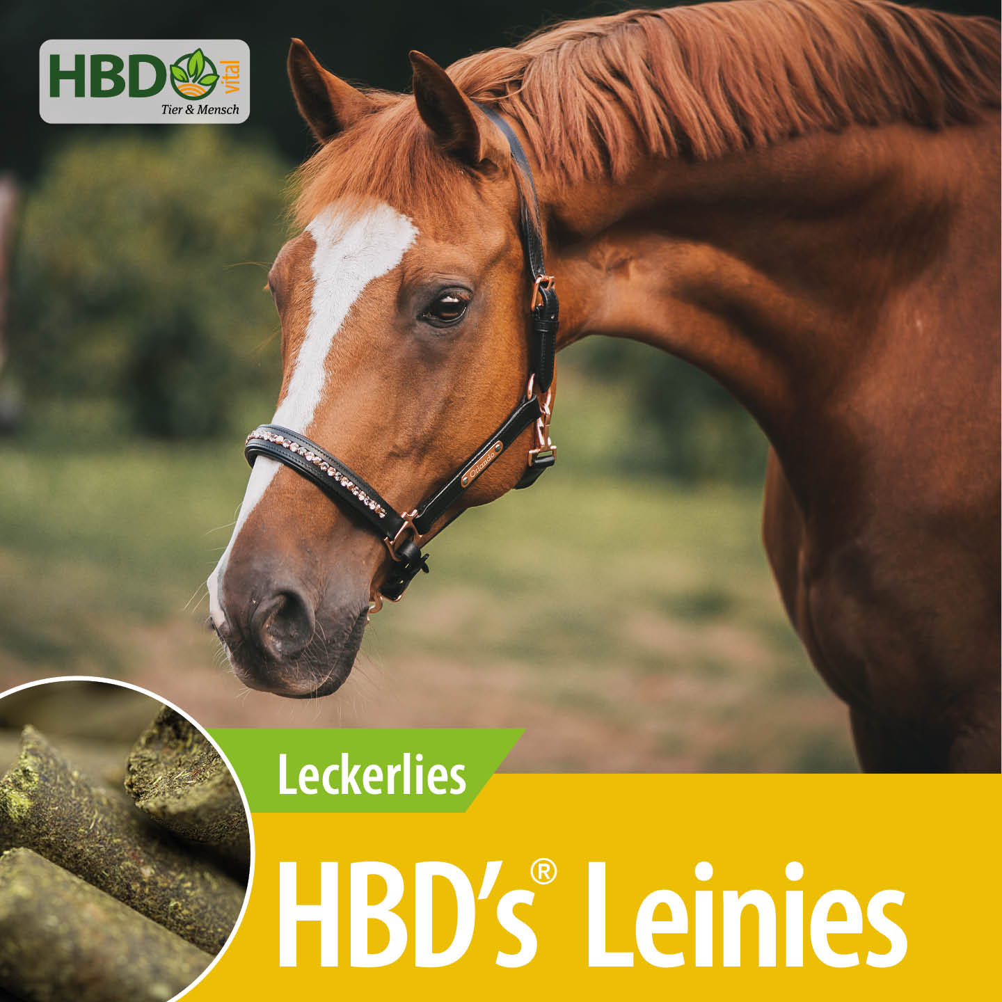 Shopbild für HBD’s Leinies Leckerlies für Pferde - Das Bild zeigt den Produktnamen sowie den Hinweis, dass es sich um Leckerlies handelt. Ein braunes Pferd mit Halfter ist zu sehen.