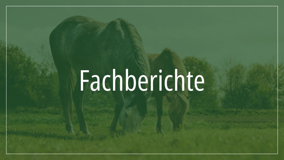 Zwei Pferde grasen auf einer Wiese, mit dem Text "Fachberichte" darüber.