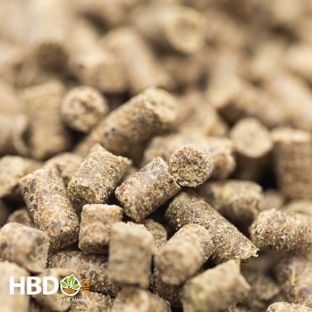 Eine Nahaufnahme von kleinen, bräunlichen, zylindrischen Pellets. Die Oberfläche der Pellets wirkt körnig und unregelmäßig. Es ist die Futterstruktur von HBDs RiceVital.