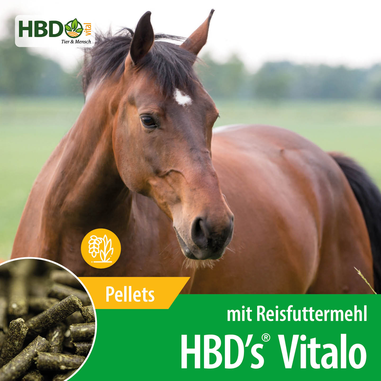 Shopbild für HBD’s Vitalo mit Reisfuttermehl - Das Bild zeigt den Produktnamen sowie den Hinweis, dass es sich um Pellets handelt. Ein braunes Pferd ist zu sehen.