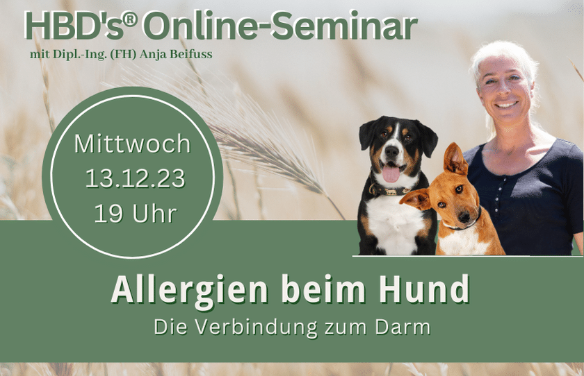 Online-Seminar: Allergien beim Hund - die Verbindung zum Darm