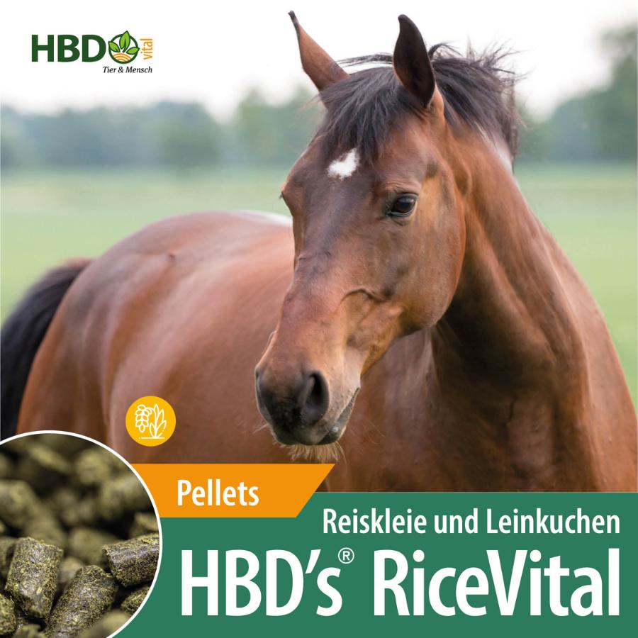 Shopbild von HBDs RiceVital Kraftfutter für Pferde mit Reiskleie und Leinkuchen. Ein braunes Pferd ist zu sehen, der Name des Produkts und ein kleines Bild der Futterstruktur