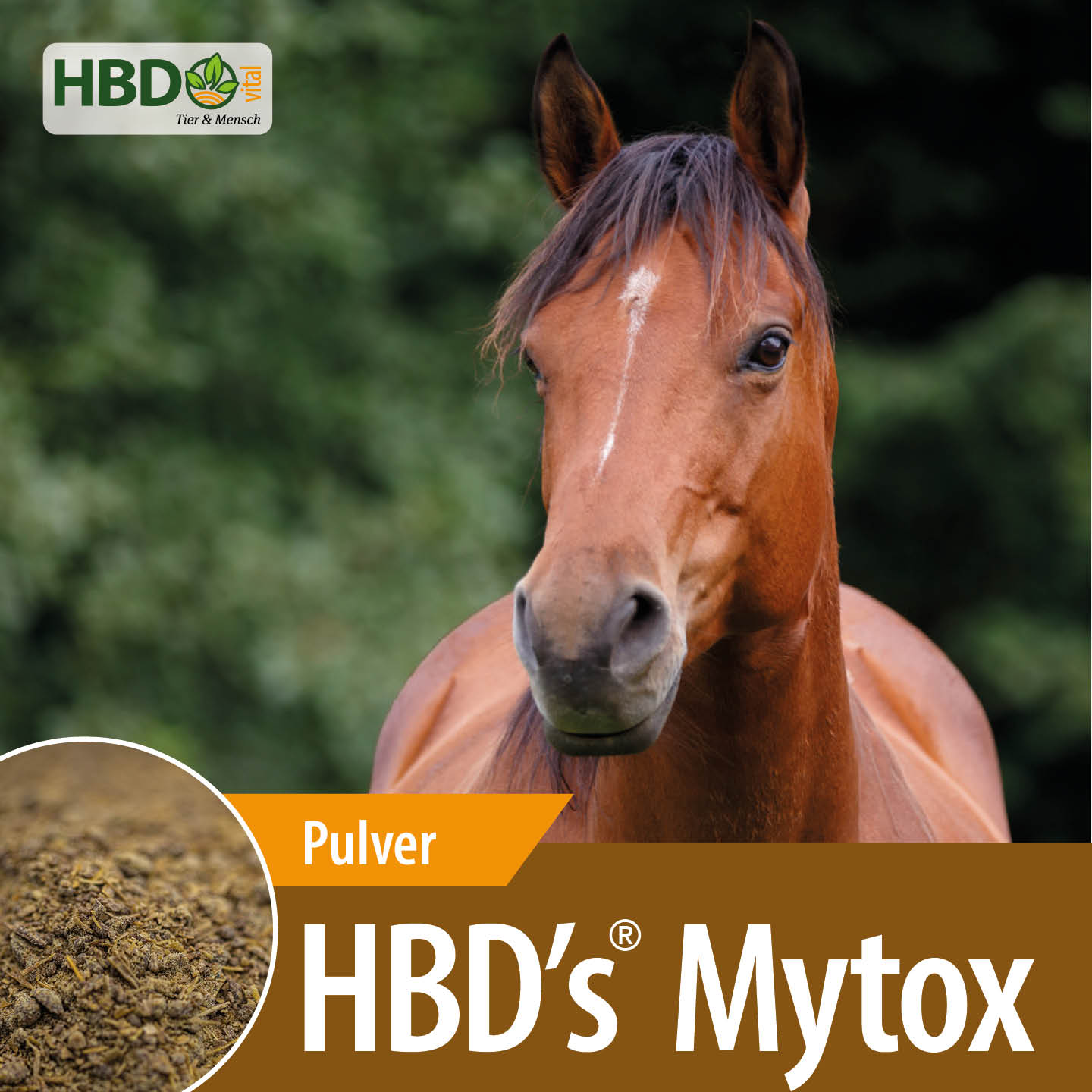 Shopbild für HBD’s Mytox - Das Bild zeigt den Produktnamen sowie den Hinweis, dass es sich um ein Pulver handelt. Ein braunes Pferd ist zu sehen.