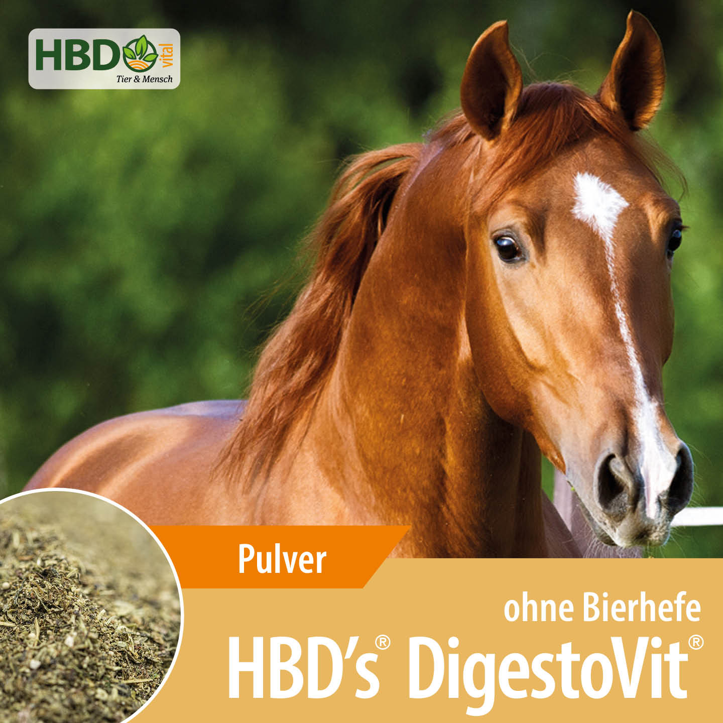 Shopbild für HBD's DigestoVit ohne Bierhefe für Pferde- Das Bild zeigt den Produktnamen  sowie den Hinweis, dass es sich um ein Pulver handelt. Ein braunes Pferd ist zu sehen, was das Produkt visuell ansprechend präsentiert u