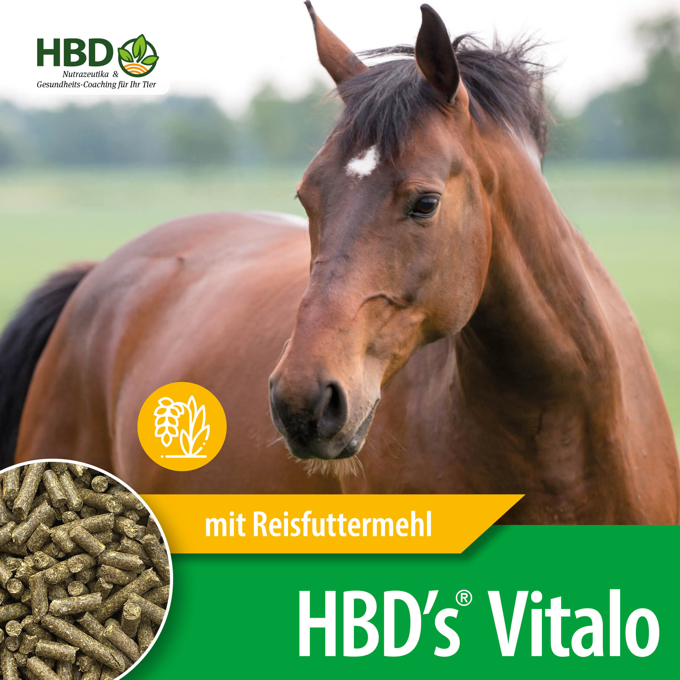 HBD’s® Vitalo (mit Reisfuttermehl)