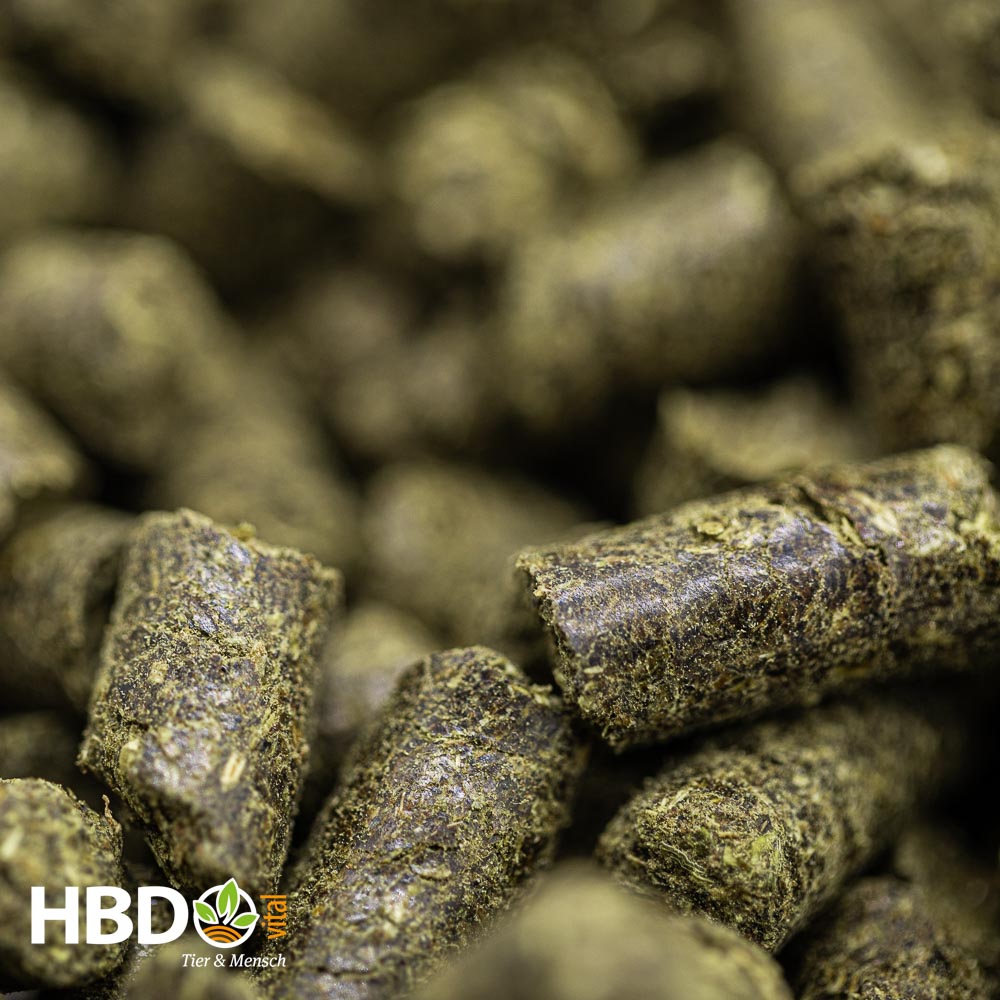 Foto von HBD’s OryVital mit 100% Reisfuttermehl - Eine Nahaufnahme zeigt grün-braune Pellets. 