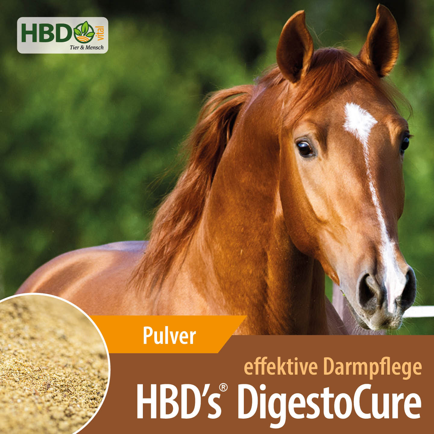 Shopbild für HBD's DigestoCure - Das Bild zeigt den Produktnamen wie den Hinweis, dass es sich um ein Pulver handelt. Der Satz 'Effektive Darmpflege' ist zu sehen. Zusätzlich ist ein hellbraunes Pferd abgebildet.