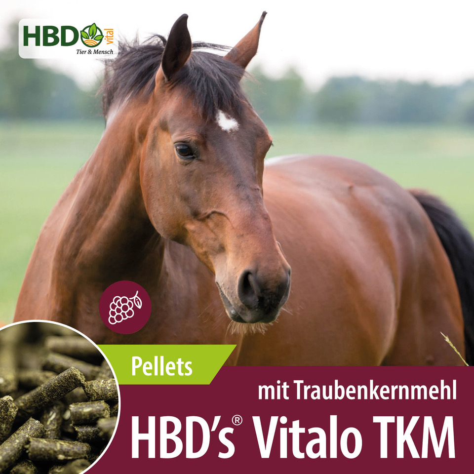 Shopbild für HBD’s Vitalo mit Traubenkernmehl - Das Bild zeigt den Produktnamen sowie den Hinweis, dass es sich um Pellets handelt. Ein braunes Pferd ist zu sehen.