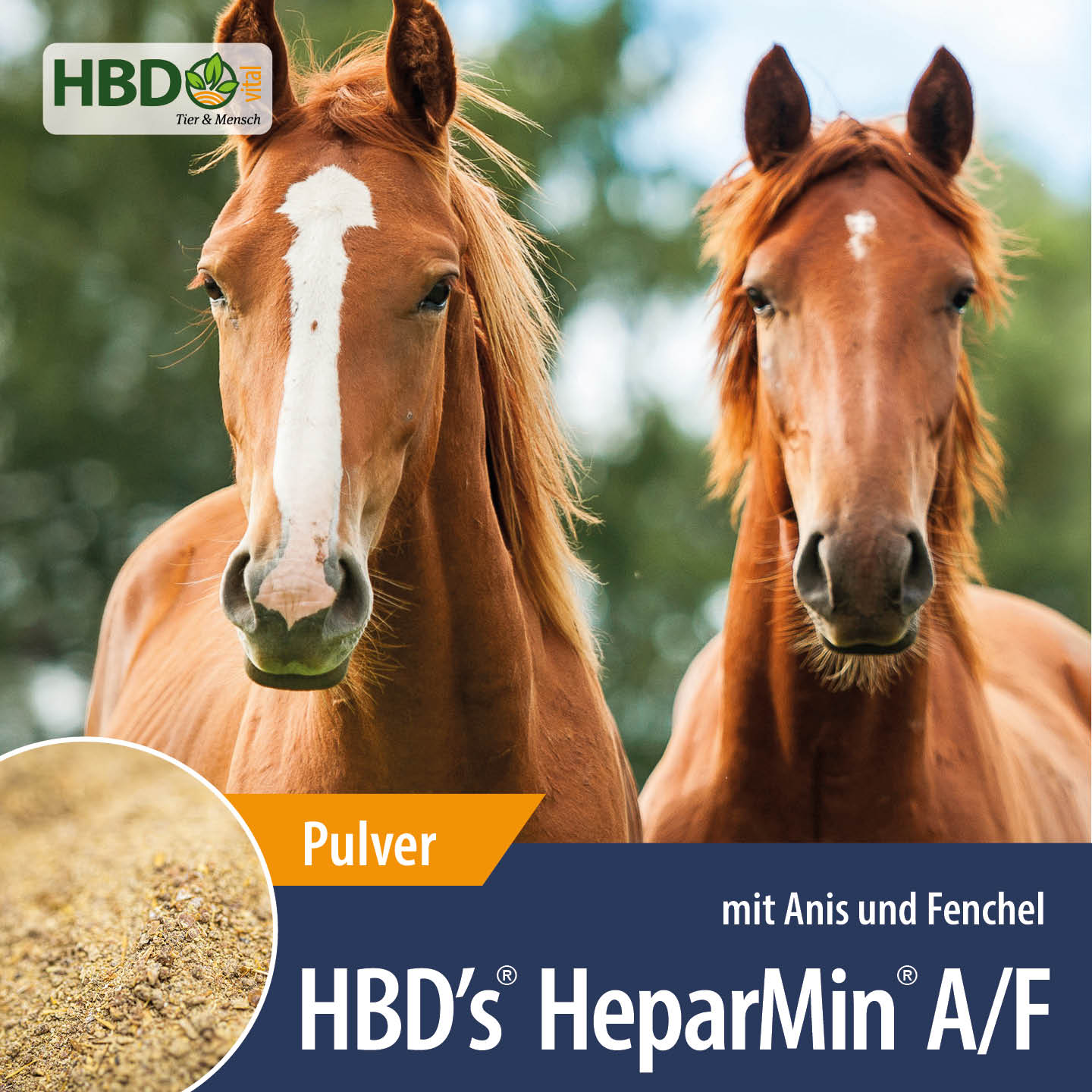 Shopbild für HBD’s HeparMin A/F- Das Bild zeigt den Produktnamen sowie den Hinweis, dass es sich um ein Pulver handelt und Anis und Fenchel beinhaltet. Zwei braune Pferde sind zu sehen.