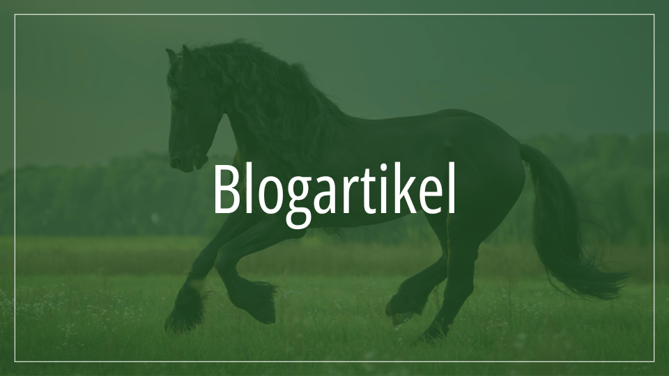 Ein schwarzes Pferd galoppiert über eine Wiese, mit dem Text "Blogartikel" darüber.