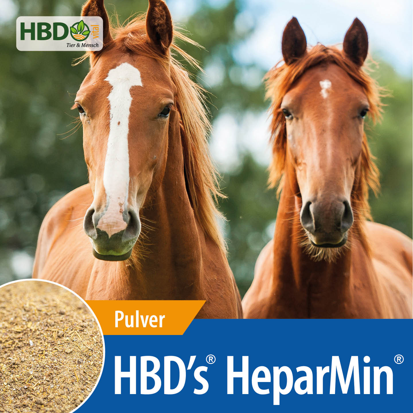 Shopbild für HBD’s HeparMin - Das Bild zeigt den Produktnamen sowie den Hinweis, dass es sich um ein Pulver handelt. Zwei braune Pferde sind zu sehen.