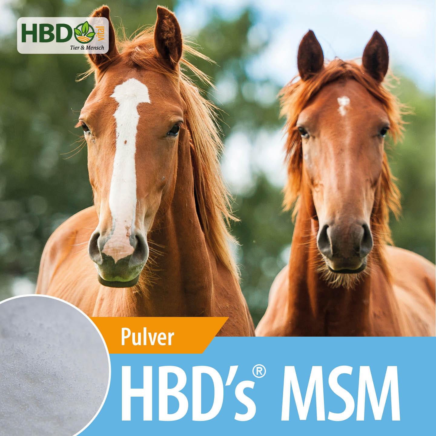 Shopbild für HBD’s MSM - Das Bild zeigt den Produktnamen sowie den Hinweis, dass es sich um Pulver handelt. Zwei braune Pferde sind zu sehen.