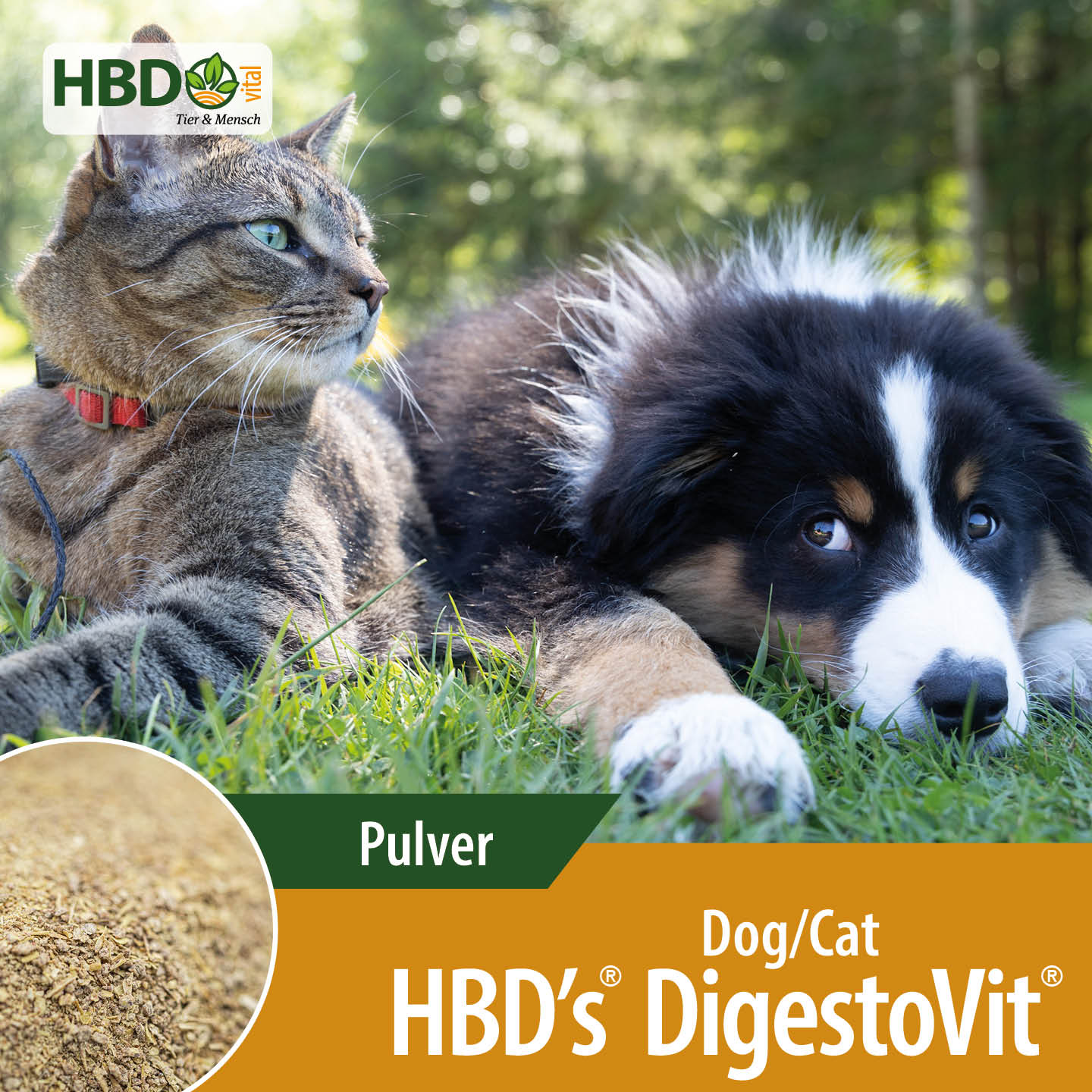 Shopbild für HBD's DigestoVit Dog/Cat - Das Bild zeigt den Produktnamen sowie den Hinweis, dass es sich um ein Pulver handelt. Ein schwarz/weiß/brauner Hund und eine getigerte Katze sind zu sehen, was das Produkt visuell anspreche