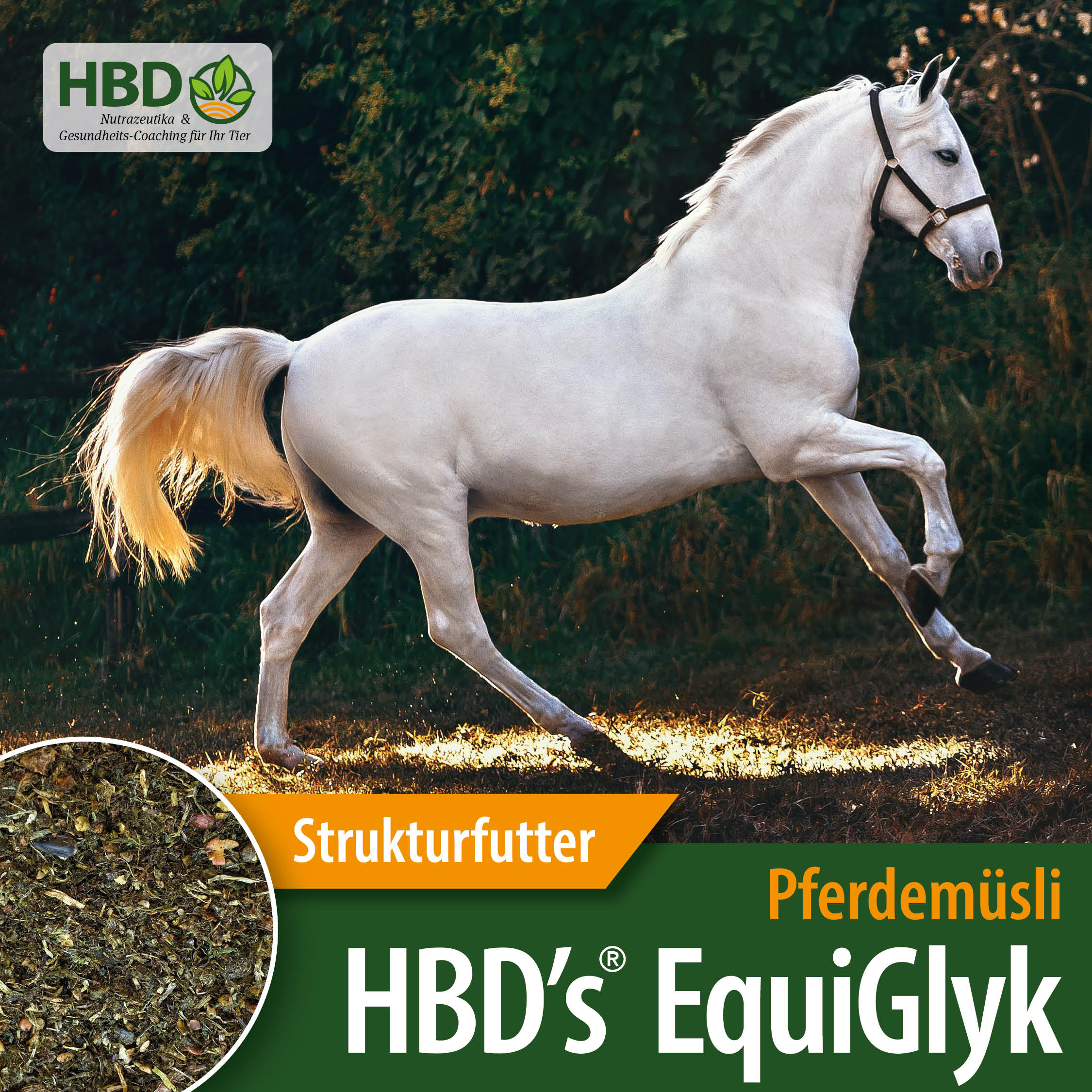 HBD’s® EquiGlyk Pferdemüsli