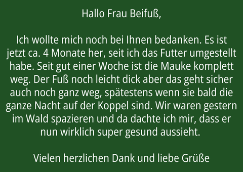 Dankesschreiben eines Pferdebesitzers an Frau Beifuß, das den Erfolg einer Futterumstellung beschreibt und die daraus resultierende Verbesserung der Mauke, sowie eine Verbesserung der Schwellung am Fuß des Pferdes.