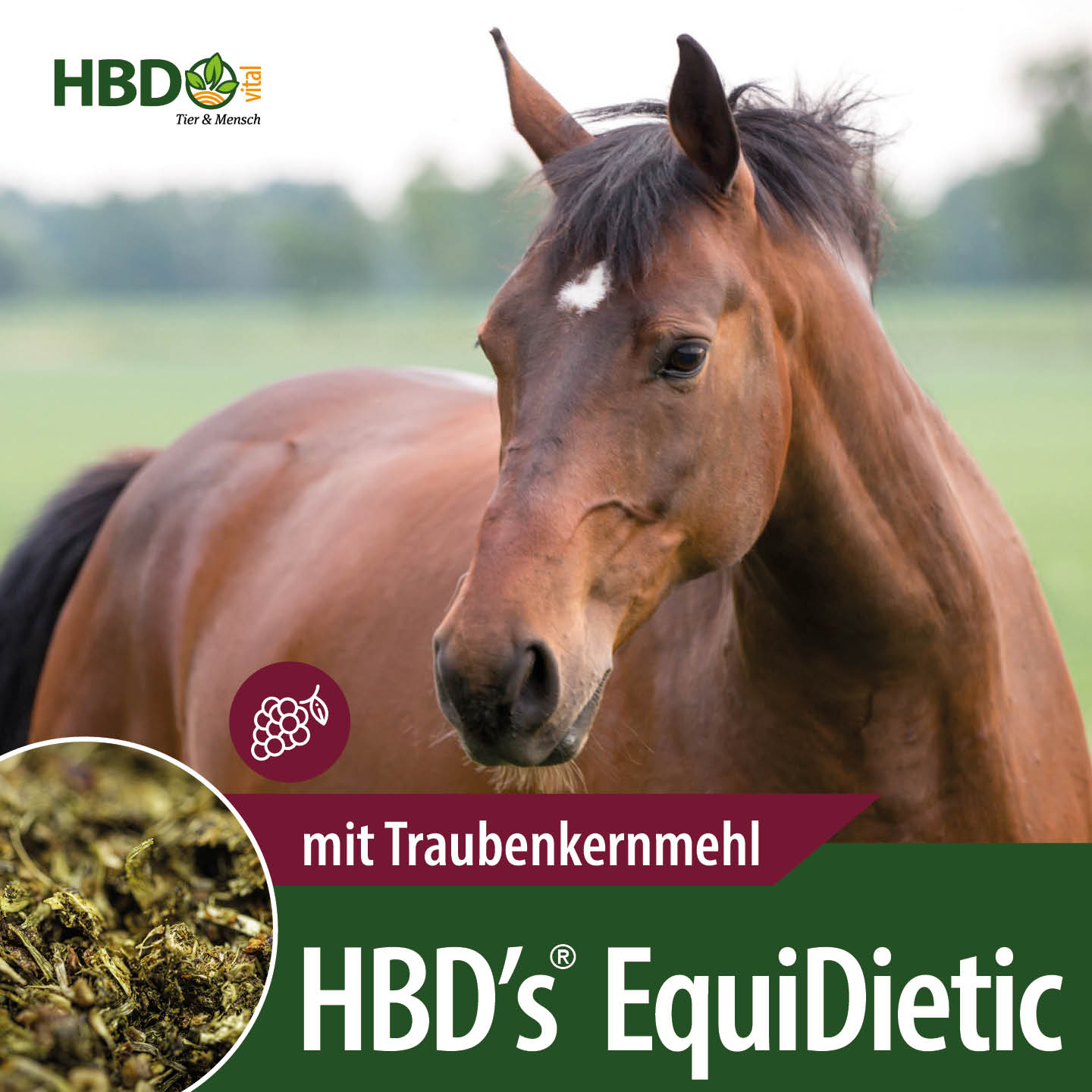 Shopbild für HBD’s EquiDietic mit Traubenkernmehl das diätistische Breifutter für Pferde- Das Bild zeigt den Produktnamen mit dem Hinweis, dass es mit Traubenkernmehl ist. Ein braunes Pferd ist zu sehen.