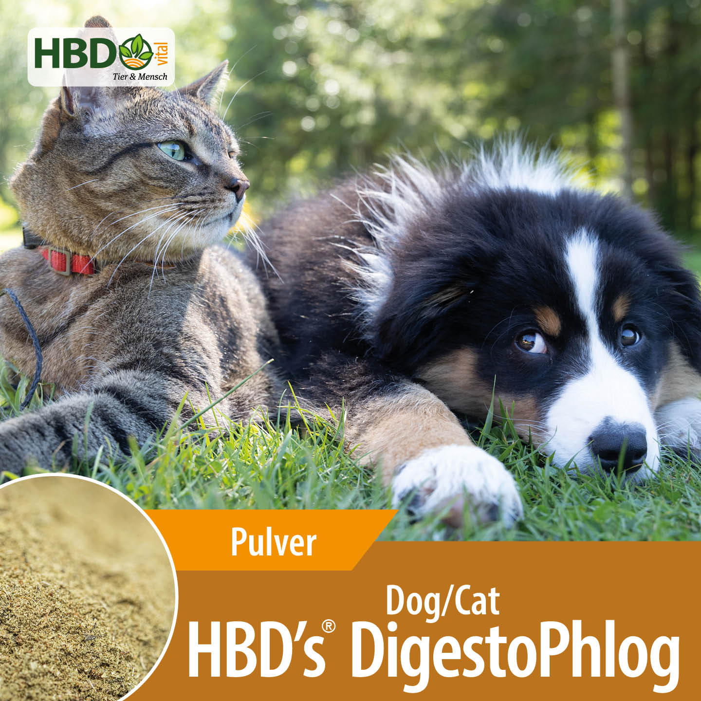 Shopbild für HBD's DigestoPhlog Dog/Cat - Das Bild zeigt den Produktnamen HBD's DigestoPhlog Dog/Cat sowie den Hinweis, dass es sich um ein Pulver handelt. Ein schwarz/weiß/brauner Hund und eine getigerte Katze sind zu sehen, was das Produkt visuell anspr