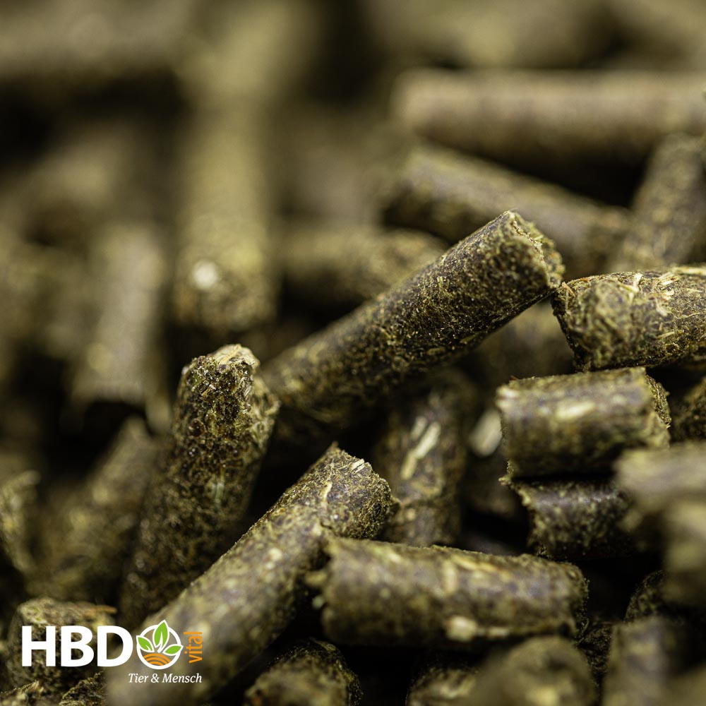 Foto von HBD’s Vitalo mit Reisfuttermehl - Eine Nahaufnahme von zeigt grün-braune Pellets. 