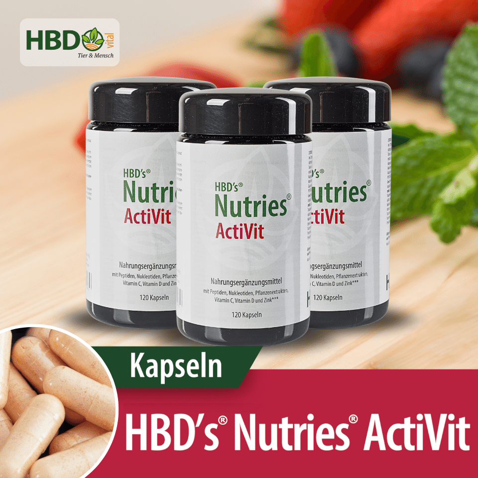 HBD’s® Nutries ActiVit Vorteilspack