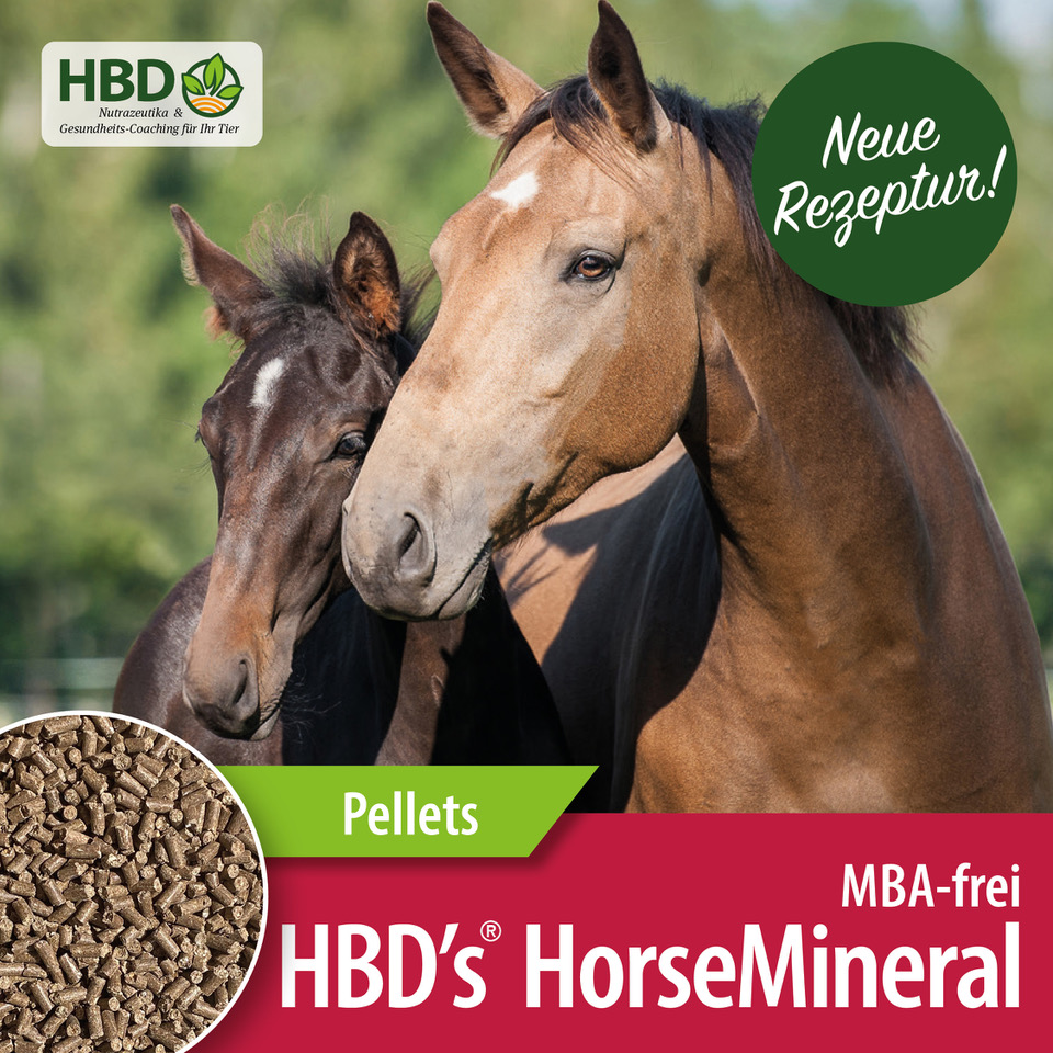 Angebot im April: HBD’s® HorseMineral MBA-frei (melasse-, bierhefe- und apfeltresterfrei) Pellets